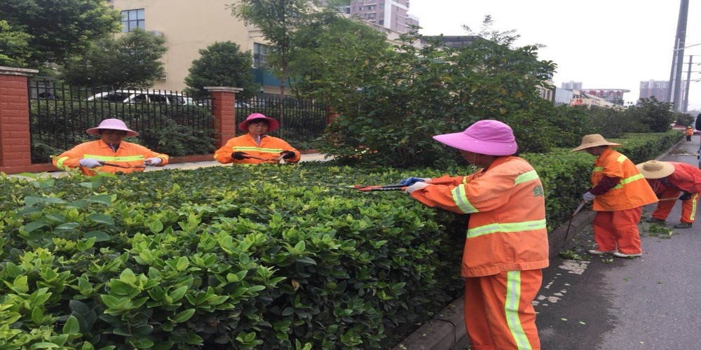 新站區(qū)道路清掃保潔、綠化管養(yǎng)項(xiàng)目